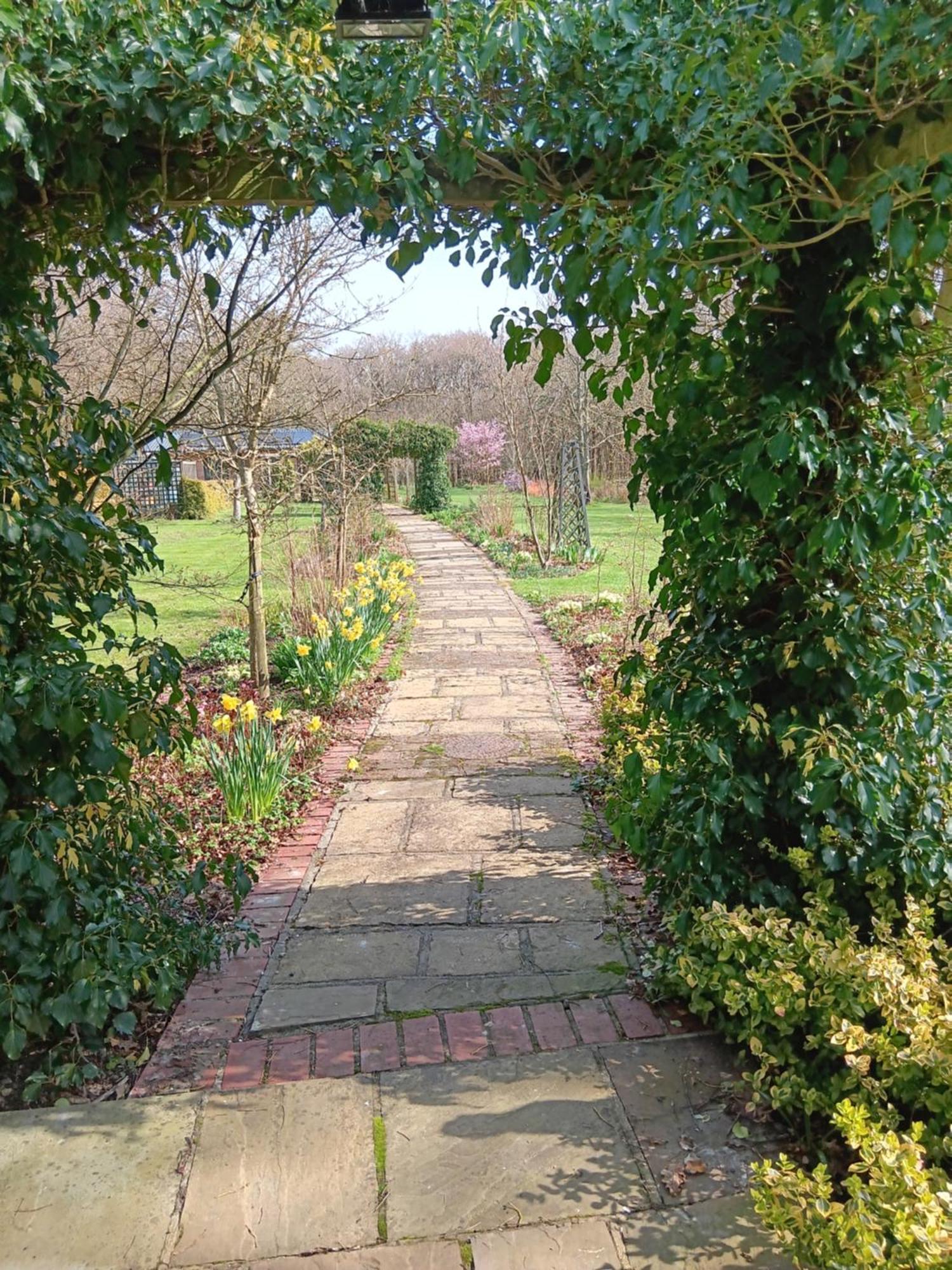 The Barn - Quiet Location Vila Ashford  Exterior foto