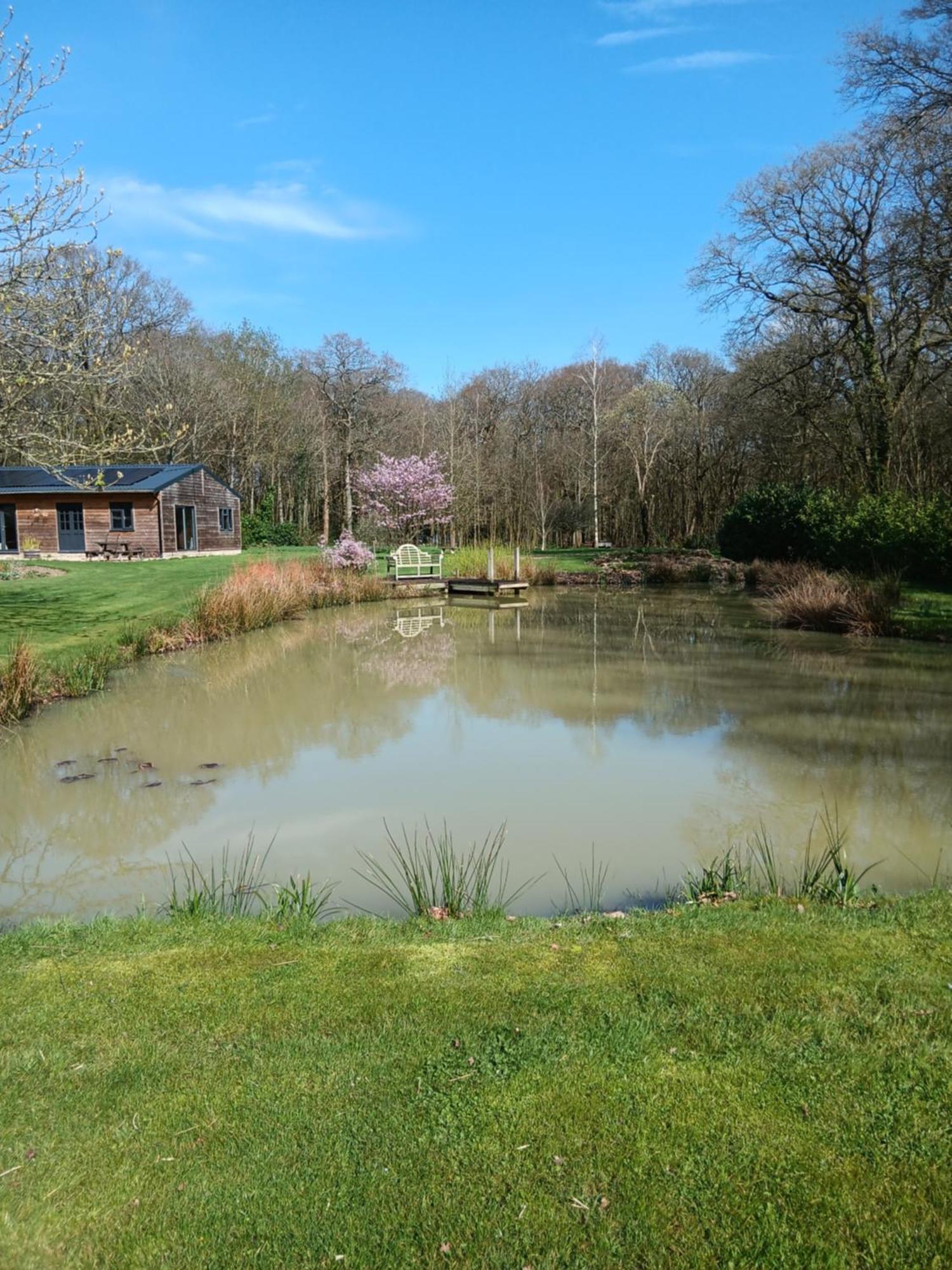 The Barn - Quiet Location Vila Ashford  Exterior foto